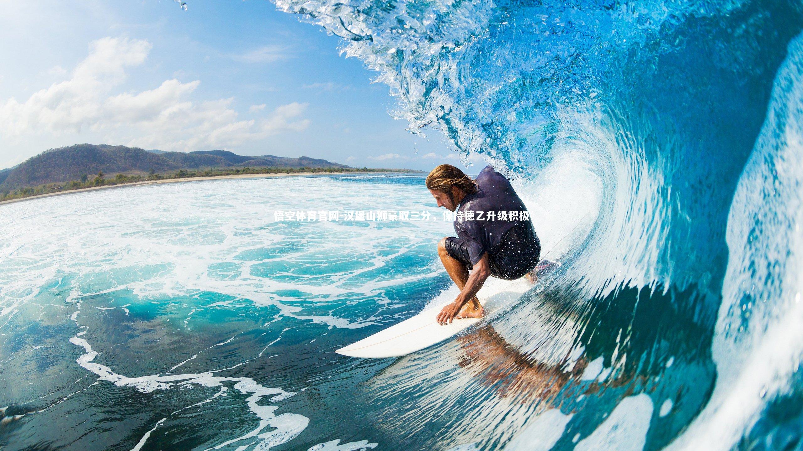 悟空体育官网-汉堡山狮豪取三分，保持德乙升级积极