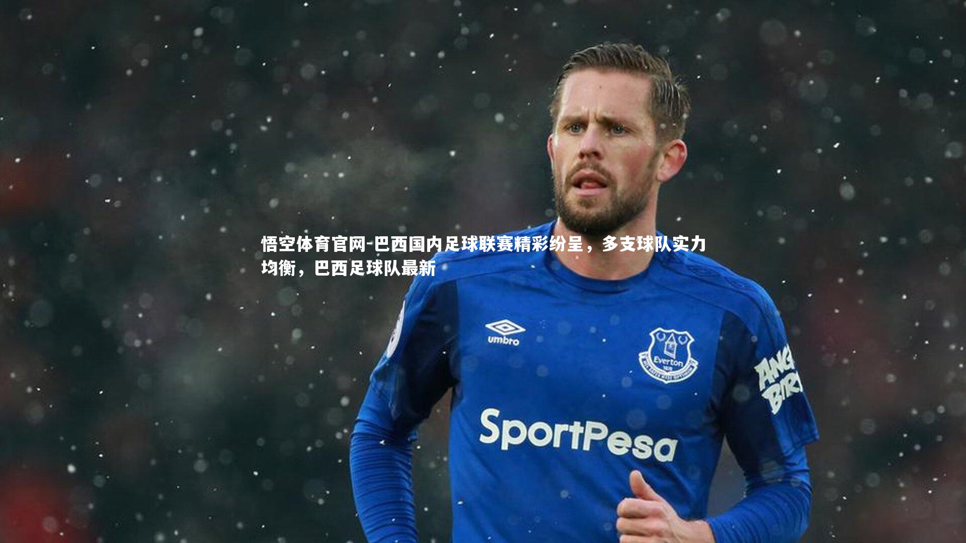 巴西国内足球联赛精彩纷呈，多支球队实力均衡，巴西足球队最新