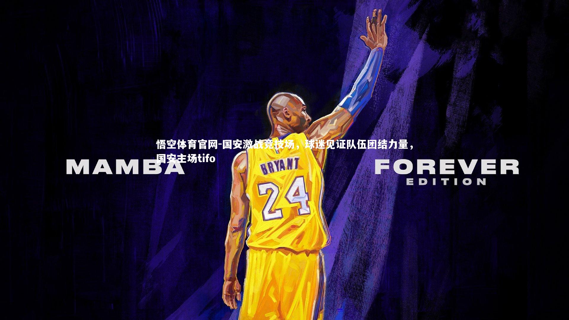 国安激战竞技场，球迷见证队伍团结力量，国安主场tifo